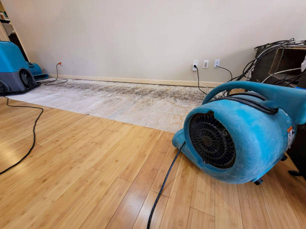 Professional Flood Damage Cleanup technician working in Strasburg, CO